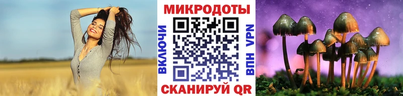 где найти   Томилино  Галлюциногенные грибы мицелий 