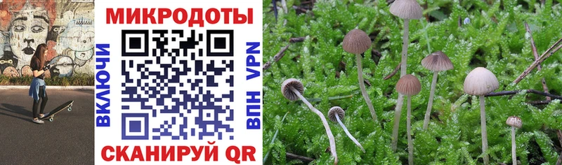 Псилоцибиновые грибы Psilocybine cubensis Томилино